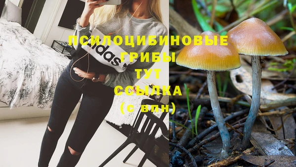 мескалин Белоозёрский